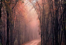 欧洲顶级联赛:各支球队在激烈竞争中展现实力!