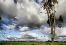 青年篮球训练营选拔新一届学员